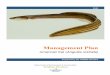 Draft American Eel Management Plan February 2 2011...information in this document originates from the Status Report. Thanks also to Roger Gallant (Mi’kmaq Alsumk Mowimsikik Koqoey