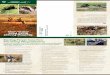 Sterling Forest State Park Hunting Map · Hunters must carry and produce on request, their permit, hunting license, and photo I.D. while hunting or scouting in the Park. Any unauthorized