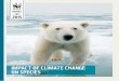 IMPACT OF CLIMATE CHANGE ON SPECIES...The conclusion reached in the most recent WWF Living Planet Report (2014) is unequivocal: the Earth is experiencing a significant and very rapid