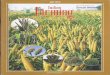 Special issue on Indian - OAR@ICRISAToar.icrisat.org/9247/1/Indian Farming July_2015.pdfSpecial issue on Small Mille . Indian Farmi"g 65(4): 19-22; July 2015 Pearl Millet Improvement