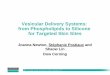 Vesicular Delivery Systems: from Phospholipids to Silicone ... · Vesicular Delivery Systems: from Phospholipids to Silicone for Targeted Skin Sites Joanna Newton, Stéphanie Postiaux