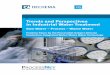 Trends and Perspectives in Industrial Water Treatment · sustainable industrial water management, the ProcessNet Subject Division “Production-Integrated Water and Waste Water Technology“