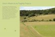 Green Infrastructure Flagship Projects - Aylesbury Vale€¦ · Green Infrastructure Flagship Projects. ... forest, provides major wildlife, access and heritage restoration and creation