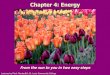 Chapter 4: Energylcaskey.rsd17.org/uploads/5/7/5/2/57520997/cellular_respiration.pdf · Chapter 4: Energy From the sun to you in two easy steps Lectures by Mark Manteuffel, St. Louis
