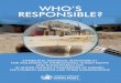 WHO’S RESPONSIBLE?...7 Foreword It is a pleasure to present Who’s Responsible?Attributing Individual Responsibility for Violations of International Human Rights and Humanitarian