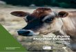 Dairy Farm Monitor Projectagriculture.vic.gov.au/.../DFMP_Vic_Annual-Report-17-18.pdf · 2018-09-04 · Any reference to ‘last year’ refers to the 2016-17 Dairy Farm Monitor Project