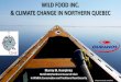 WILD FOOD INC. & CLIMATE CHANGE IN NORTHERN QUEBEC · The wild food system provides many nutritional benefits. It is also a cultural strength, that embodies the relationships and