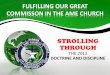 FULFILLING OUR GREAT COMMISSON IN THE AME CHURCHeedlo.org/DOCS/FulfillingOurGreatCommissionintheAMEC.pdfbecome The Church of Phillip and Paul AME or the African Methodist Episcopal
