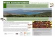 Seed Conservation Supporting the survival of plant ... · Seed Conservation Supporting the survival of plant diversity in Western Australia Seed conservation directly and indirectly