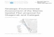 Strategic Environmental Assessment of the Marine Spatial ... · For each marine spatial plan (MSP), an environmental assessment and associated environmental impact assessment, the