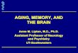 AGING, MEMORY, AND THE BRAIN · 2016-05-03 · AGING, MEMORY, AND THE BRAIN. Anne M. Lipton, M.D., Ph.D. Assistant Professor of Neurology . and Psychiatry. UT-Southwestern