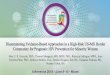 Disseminating Evidence-Based Approaches in a High-Risk US-MX … · 2018-06-23 · Disseminating Evidence-Based Approaches in a High-Risk US-MX Border Community for Pragmatic HIV