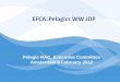 EFCA: Pelagics WW JDP · Draft WP 2012 WP 2011→ WP 2012 cooperation with Third countries, within the JDPs areas The WP 2012 does not contain significant changes from the one in