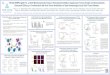 AACR TTI-622 (SIRPα-IgG4 Fc), a CD47- Blocking Innate Immune … · 2018-08-03 · TTI-622 (SIRPα-IgG4 Fc), a CD47- Blocking Innate Immune Checkpoint Inhibitor, Suppresses Tumor