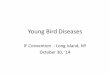Young Bird Diseases · 2019-11-18 · Young Bird Diseases •To reduce young bird diseases: –Wean young birds at 30 to 35 days (separate) –Vaccinate parents before breeding season