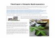 TheCapn’s Simple Hydroponics - 420 MAGAZINE€¦ · TheCapn’s Simple Hydroponics Editor’s Note: This is my summary and reference of TheCapn’s simple hydroponics thread. For