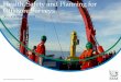 Health, Safety and Planning for Offshore Surveys · ERM’s HSE Planning . Assessment of Hazards and Risks, Mitigations, and Planning: WARN (Work Activity Risk Assessment) JHA/HRA