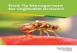 Fruit Fly Management for Vegetable ... Fruit Fly Management for Vegetable Growers 7 02. The life of