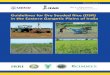 Guidelines for Dry Seeded Rice - CSISA€¦ · i) Conventional tillage (CT): The soil should be cultivated to a depth of 5–10 cm to achieve a fine enough tilth for good seed-to-soil