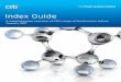 Index Guide - Yield Book · 2017-03-01 · Index Guide - January 2017 07 Global Indices Introduction to Citi Fixed Income Indices Guide Bond indices serve as benchmarks for fixed