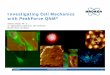 Investigating Cell Mechanics with PeakForce QNMInvestigating Cell Mechanics with PeakForce QNM® Andrea Slade, Ph. D. Sr. Applications Scientist, Life Sciences Bruker Nano Surfaces