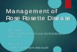 Management of Rose Rosette - Entomology and Plant Pathologyentoplp.okstate.edu/pddl/Management of Rose Rosette 2015.pdfManagement of Rose Rosette Disease (RRD) Research is in progress,