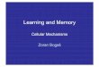Learning and Memoryneuron.mefst.hr/docs/katedre/neuroznanost/TNZsem_L&M.pdf · 2013-04-06 · Learning objectives for the Seminar S22 (Learning and Memory): • To understand the