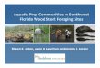 Aquatic Prey Communities in Southwest Wood Stork …...Aquatic Prey Communities in Southwest Florida Wood Stork Foraging Sites Shawn E. Liston, Jason A. Lauritsen and Jerome J. Lorenz