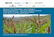 Smart Fertilization and Water Management – Kenya-Netherlands … · 2018-11-08 · fertilizer, water management, logistics, and business development, proposes locationspecific -