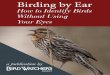 How to Identify Birds Without Using Your Eyes - Bird Watcher's … · 2019-03-01 · proclaim their songs. Some males sing around the clock during breeding season. It’s those spring