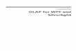 OLAP for WPF and Silverlightprerelease.componentone.com/help/WPF/WPF.OLAP.pdfIntroduction to OLAP OLAP means "online analytical processing". It refers to technologies that enable the