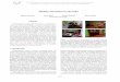 Shading Annotations in the Wild - CVF Open Accessopenaccess.thecvf.com/...Shading_Annotations_in_CVPR_2017_pape… · Shading Annotations in the Wild Balazs Kovacs Sean Bell Noah