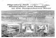 Migratory Fish Restoration and Passage on the Susquehanna ... · The.first Pe -nnsylvania Fish Commissioner, ... developed the first modern American shad hatchery in the world, the