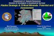 Department of Natural Resources Division of Geological ...dnr.alaska.gov/commis/priorities/Slides/Bob_Swenson.pdfDivision of Geological & Geophysical Surveys Alaska Strategic & Critical