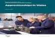 Apprenticeships in Wales documents/cr-ld11416/cr-ld11416-e… · Apprenticeships in Wales 8 Recommendation 9. The Welsh Government should ensure that it has taken all necessary steps