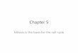 Chapter 5sewardhomepage.weebly.com/uploads/5/7/4/4/5744722/chapter_5.pdf · Chapter 5 Mitosis is the basis for the cell cycle . Cell Cycle . Cell Cycle •The cell cycle occurs in