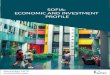 SOFIA: ECONOMIC AND INVESTMENT PROFILE · Sofia: Economic and Investment Profile 6 There is also a significant difference in the sector of Professional Activities and Research –