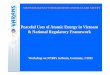 Peaceful Uses of Atomic Energy in Vietnam & National ... Documents/Presentations/02-12_V… · Peaceful Uses of Atomic Energy in Vietnam & National Regulatory Framework Workshop on