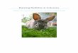 Raising Rabbits in Colonies - doc-developpement-durable.org€¦ · Raising Rabbits in Colonies Page 7 Pros and Cons of Raising Rabbits in Colonies In biology, we define a “colony”