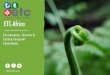 ETC-Africa Profile.pdf · environmental, carbon and ecotourism arena. our project team has extensive experience in environmental impact assessments, corporate sustainability, carbon