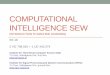 COMPUTATIONAL INTELLIGENCE SEW COMPUTATIONAL INTELLIGENCE SEW (INTRODUCTION TO MACHINE LEARNING) SS