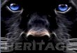 Welcome to THE Heritage - Hilliard City Schools · Welcome to THE Heritage Darby Graduating Class of 2021 Start a Legacy! PRIDE . Key Points ... • The class will emphasize Rock