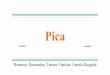 Pica...Treatment/intervention: Given the risk of medical complications (such as lead poisoning) associated with pica, close medical monitoring is necessary throughout. Chelation therapy