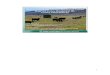 Marianas Grazing and Livestock Management Academy …...Different kinds (species) and classes (heifer, steer, lactating, growing, etc.) of grazing animals utilize range and pasture