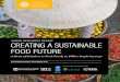 WORLD RESOURCES REPORT CREATING A SUSTAINABLE FOOD FUTURE · 2019-03-05 · CREATING A SUSTAINABLE FOOD FUTURE: SYNTHESIS REPORT This synthesis report summarizes the findings of the