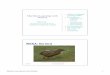 WEKA: the bird - Purdue UniversityMachine Learning for Data Mining 21 2/4/2004 University of Waikato 108 Explorer: finding associations WEKA contains an implementation of the Apriori