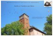 Swifts in Frankfurt am Main€¦ · Swifts in Frankfurt am Main A shelter with 40 nests sites in the tower, and 27 Swifts in the air. ... One of the highlights of the event was a