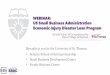 WEBINAR: US Small Business Administration Economic Injury ... · WEBINAR: US Small Business Administration Economic Injury Disaster Loan Program Brought to you by the University of