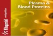 Plasma & Blood Proteins · 20C-CR1021SP alpha 1 Antitrypsin antibody Sheep - ODD, Immunodiffusion, WB Catalog No. Product Name Protein Type Grade & Purity Applications 30-1036 alpha
