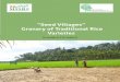 “Seed Villages” Granary of Traditional Rice VarietiesThe team have mobilized rice farmers from ten villages of Wayanad district, clustered them into seed villages, mainly serving